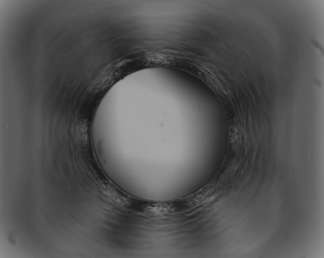 X0000091560466200709071131