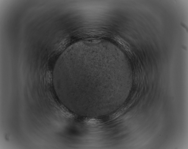 X0000091560467200709071131