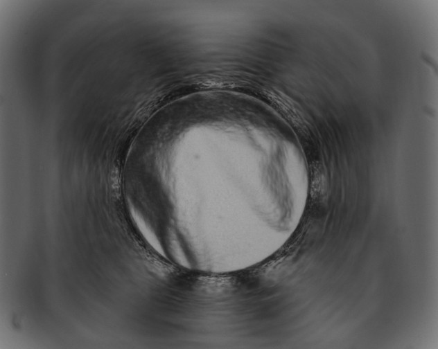 X0000091560469200709071131