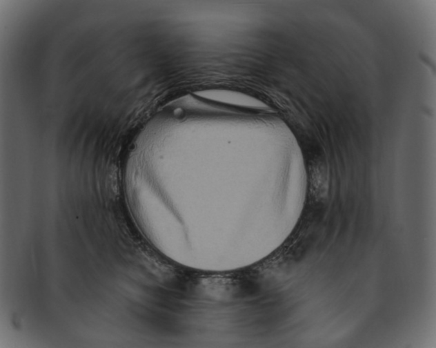 X0000091560470200709071131