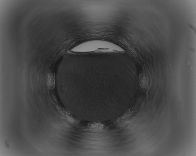 X0000091560471200709071131