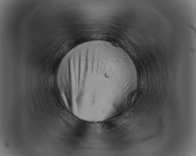 X0000091560473200709071131