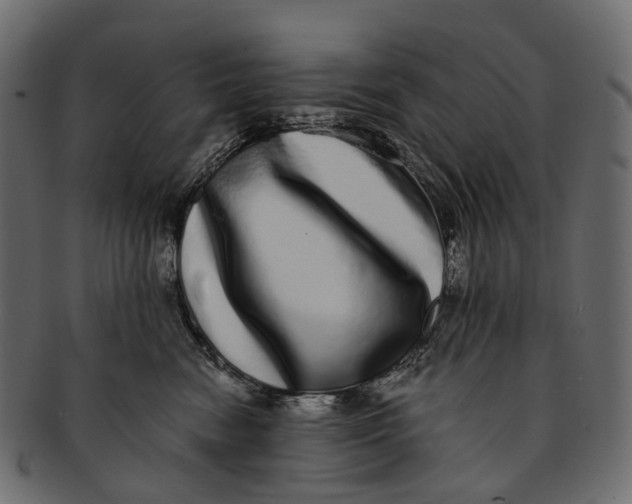 X0000091560474200709071131