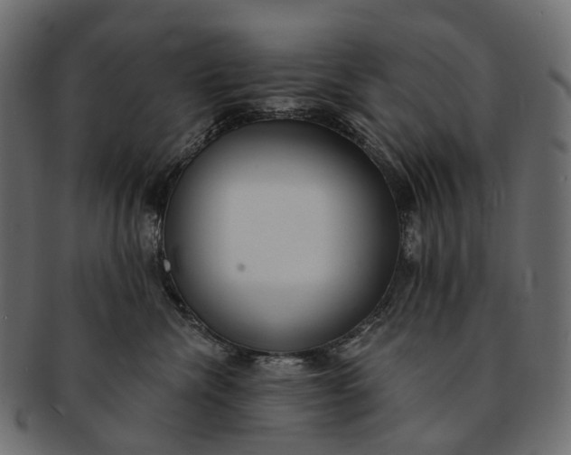 X0000091560476200709071131