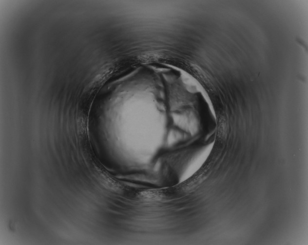 X0000091560477200709071131