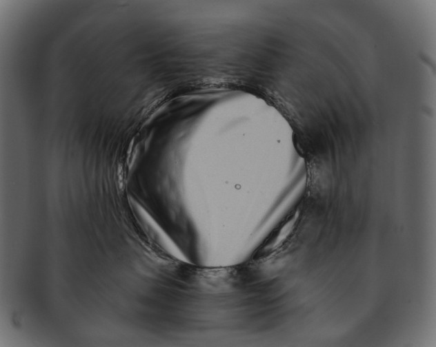 X0000091560479200709071131