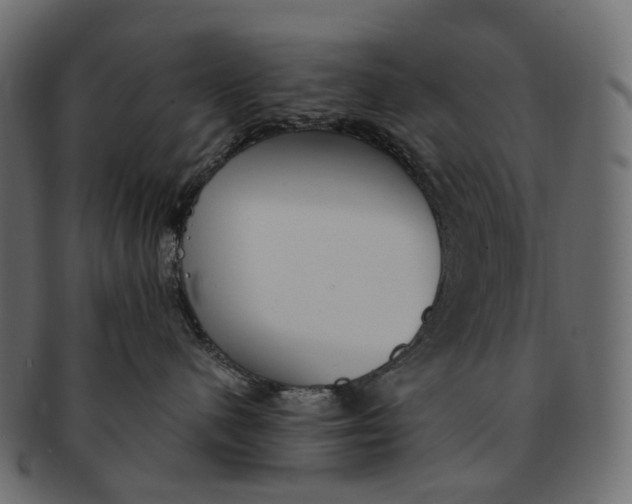 X0000091560480200709071131