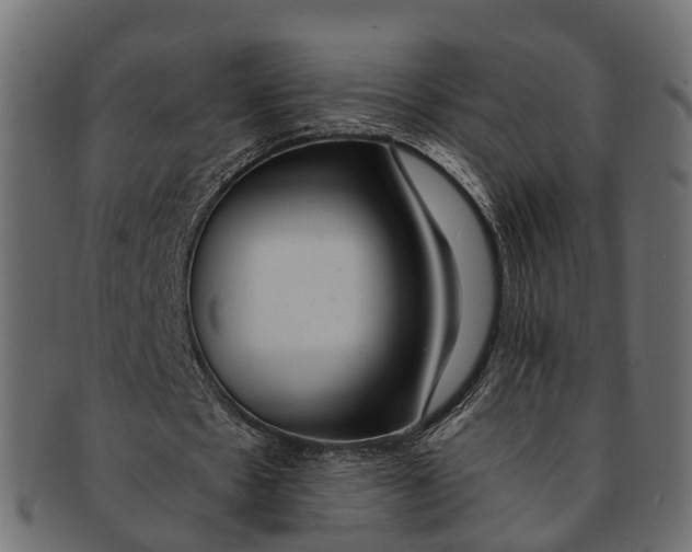 X0000091560481200709071131