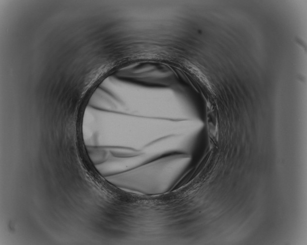 X0000091560482200709071131