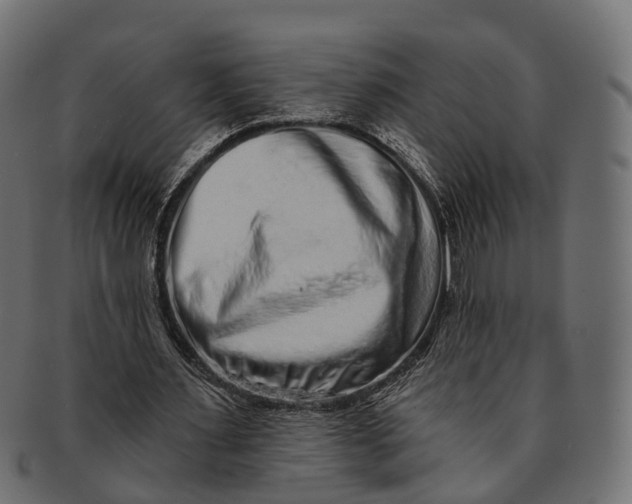 X0000091560483200709071130