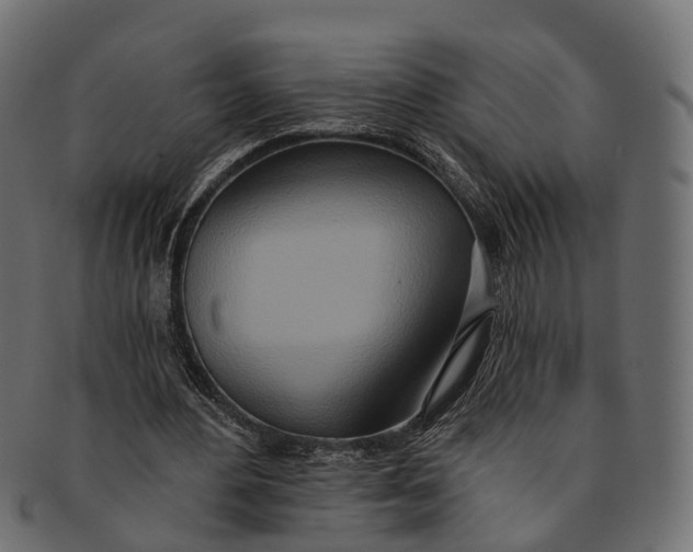 X0000091560484200709071130