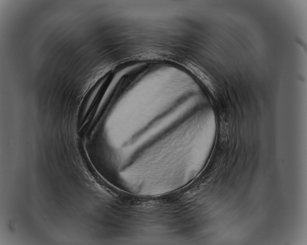 X0000091560485200709071130