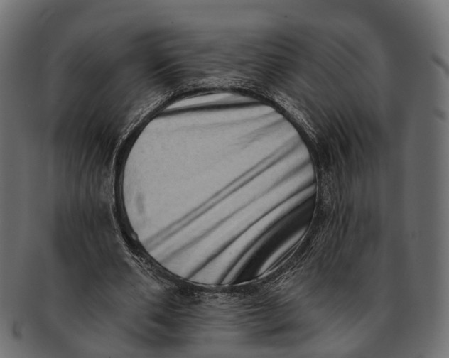 X0000091560486200709071130