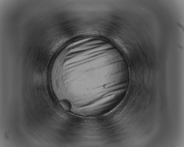 X0000091560487200709071130