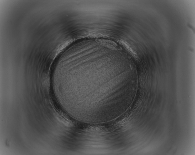 X0000091560488200709071130