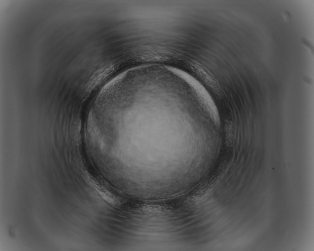 X0000091560490200709071130