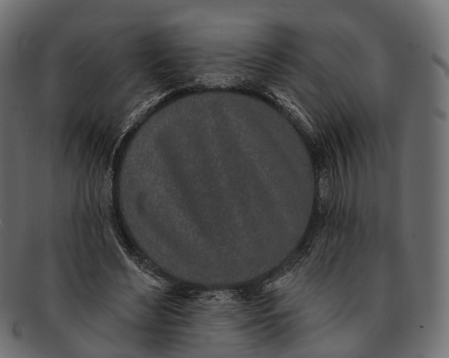 X0000091560492200709071130