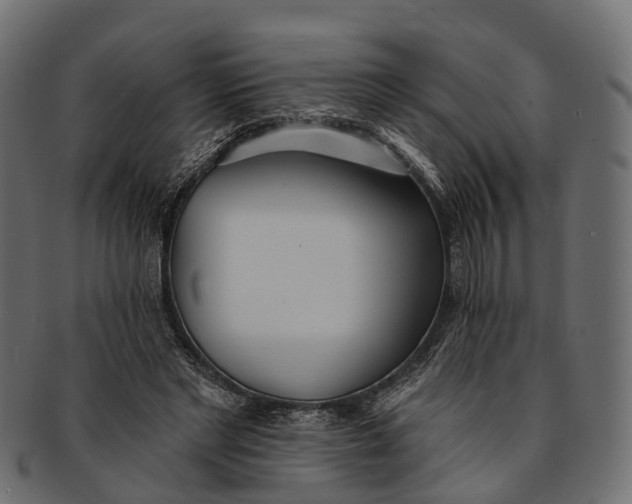 X0000091560493200709071130