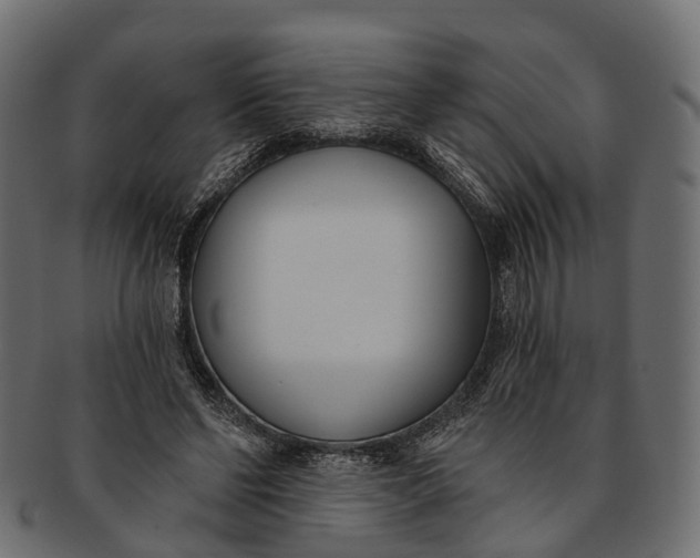 X0000091560494200709071130