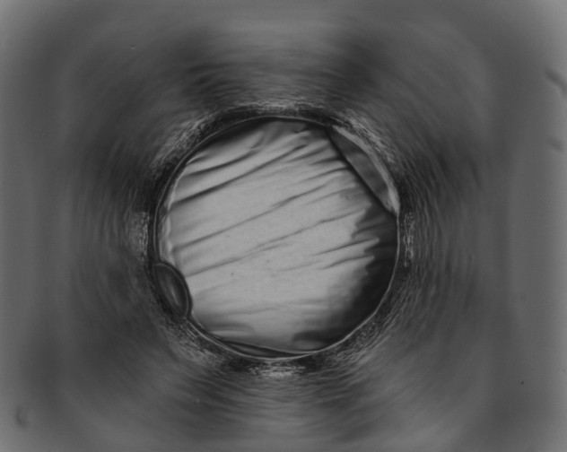 X0000091560495200709071130