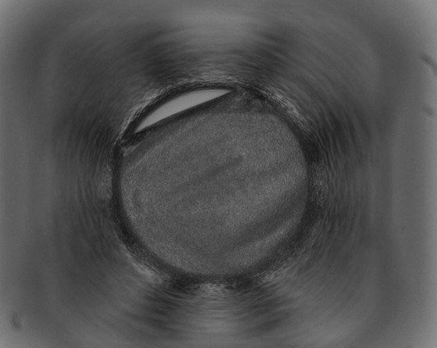 X0000091560496200709071130