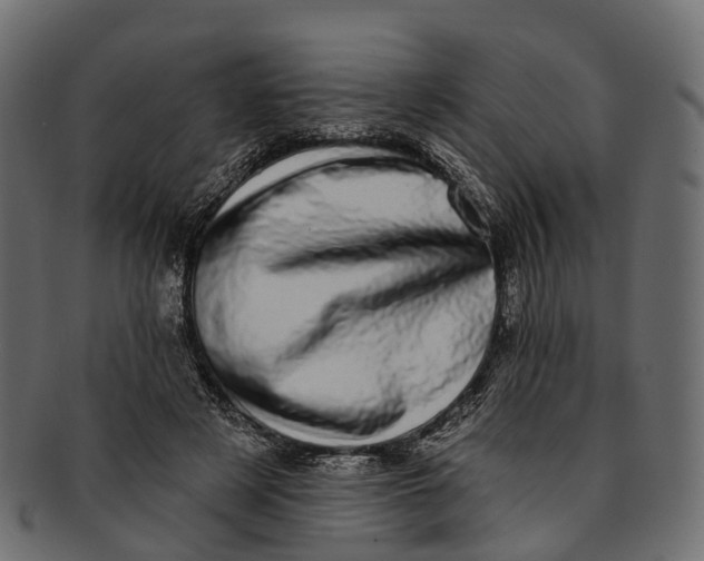 X0000091560497200709071130