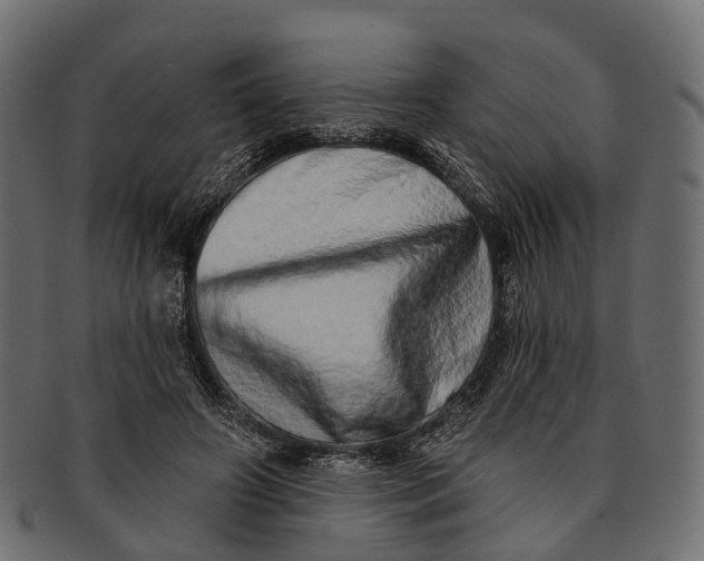 X0000091560498200709071130