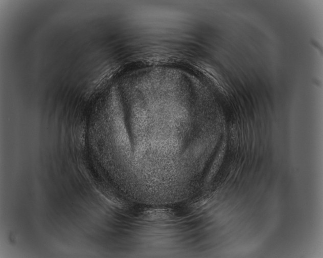 X0000091560499200709071130