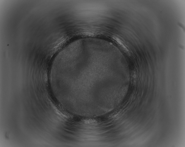 X0000091560500200709071130