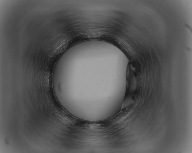 X0000091560501200709071130