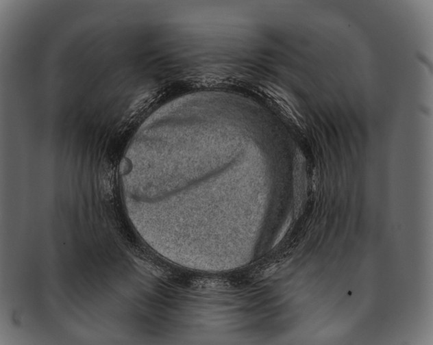 X0000091560503200709071130