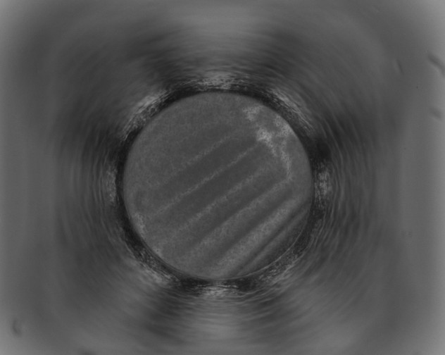 X0000091560504200709071130