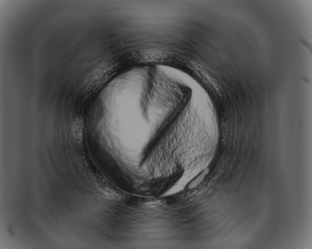 X0000091560505200709071130