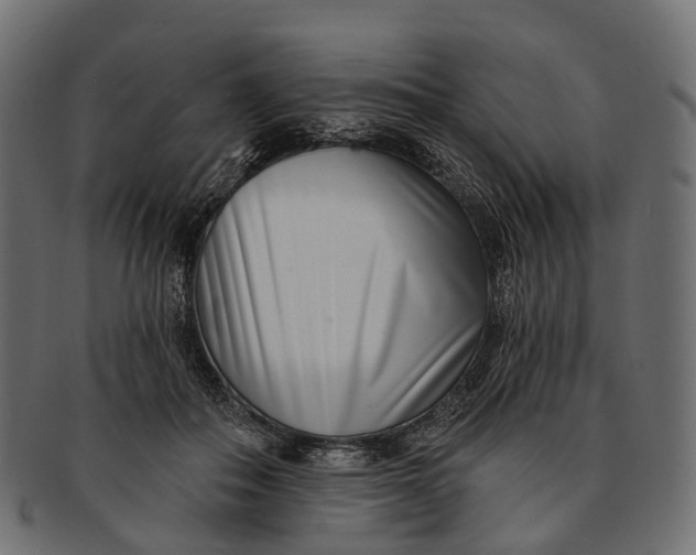 X0000091560506200709071130