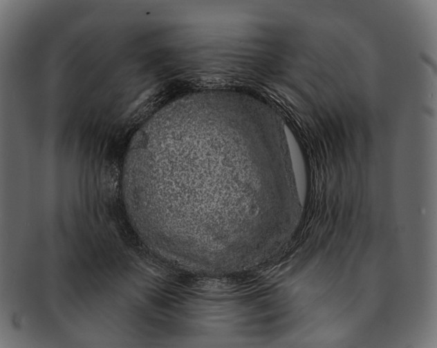 X0000091560507200709071130