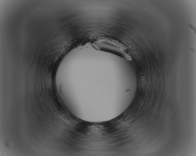 X0000091560508200709071130