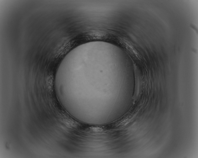 X0000091560509200709071130