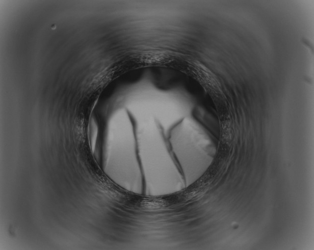 X0000091560510200709071130