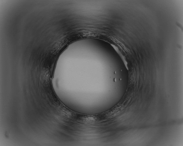 X0000091560513200709071130