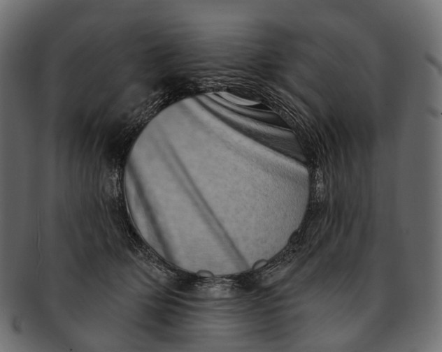 X0000091560514200709071130