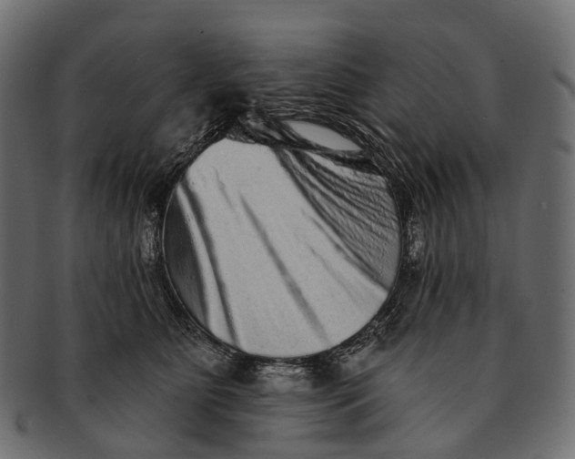 X0000091560515200709071130