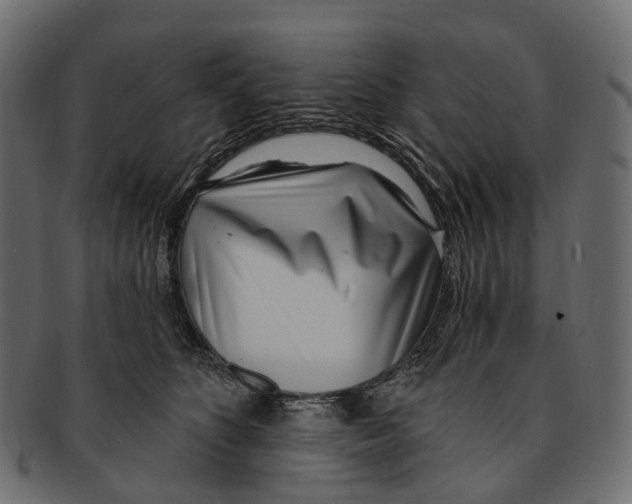 X0000091560516200709071130