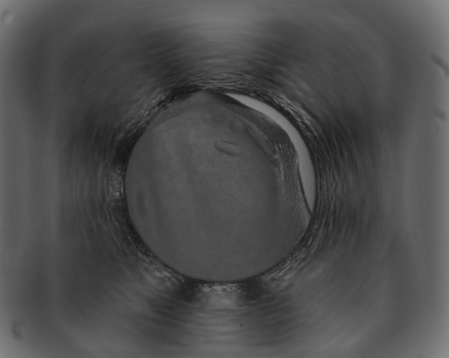 X0000091560517200709071130