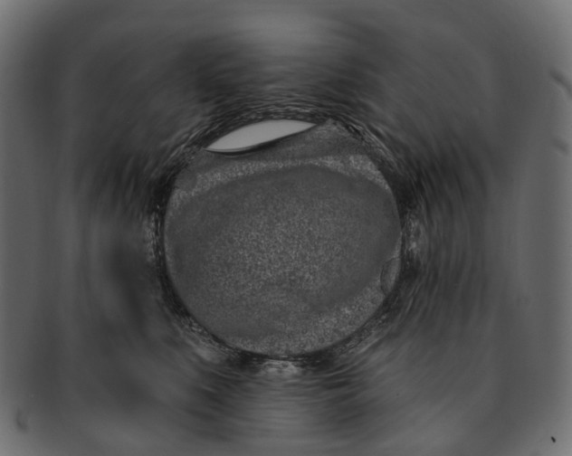 X0000091560519200709071130