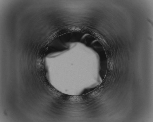 X0000091560521200709071130