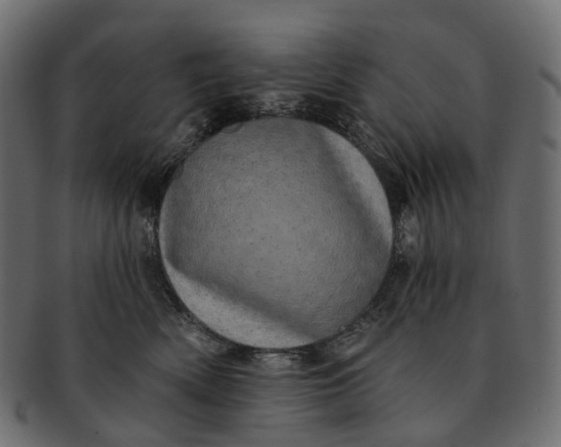 X0000091560522200709071130