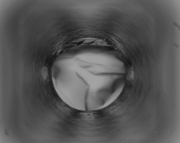 X0000091560524200709071130