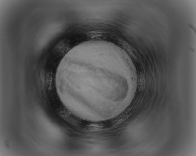 X0000091560525200709071130