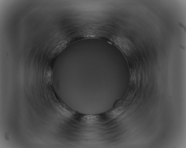 X0000091560526200709071130