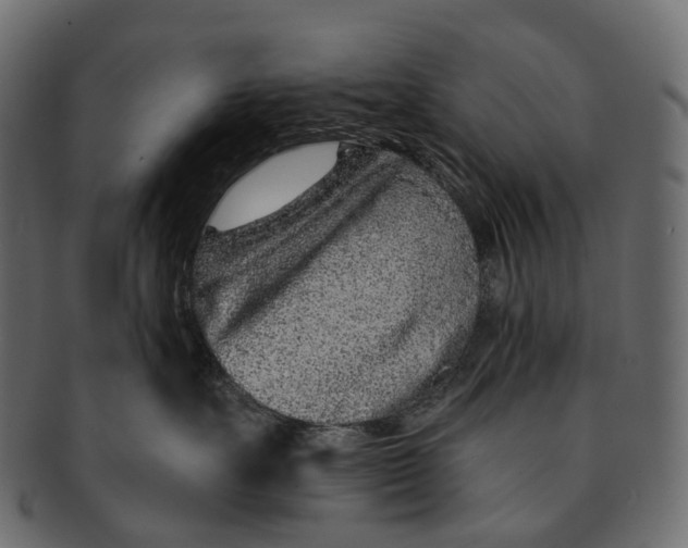 X0000091560527200709071130